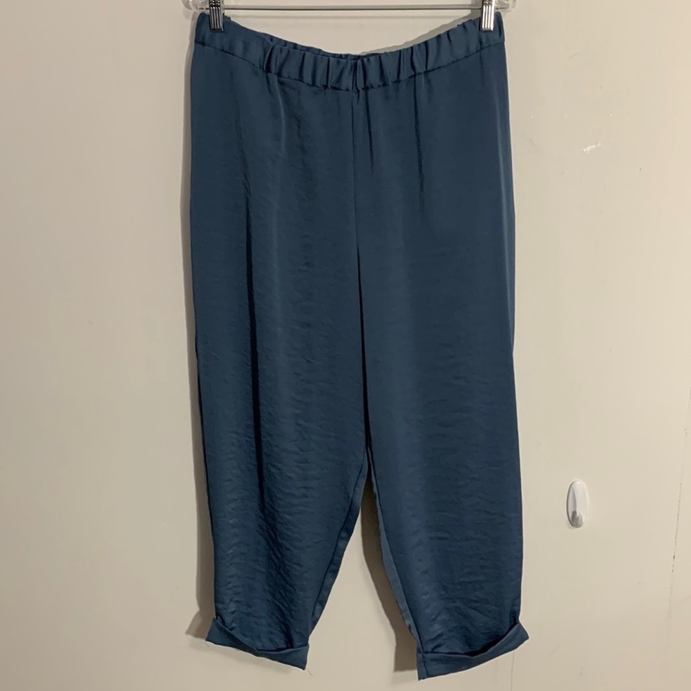 Vince Camuto NWT Spring Romance pants in China Blue XL